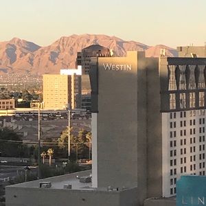 Meet your Posher, Rhonda